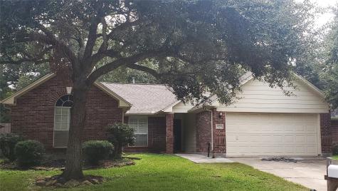 16723 Lighthouse View Drive Friendswood TX 77546