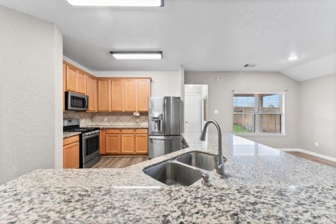 22014 Briarvine Court Spring TX 77389