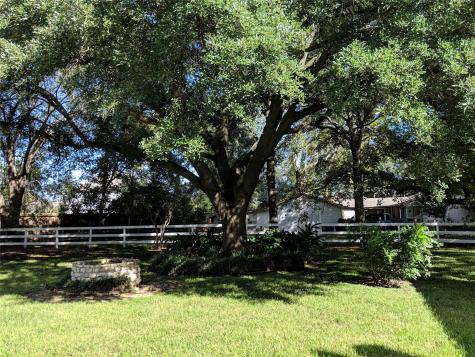 1202 W Riley Fuzzel Road Spring TX 77373