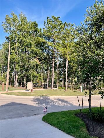 313 Rise Lane Montgomery TX 77316