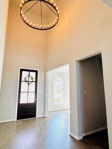 3447 Cabernet Shores Drive Fulshear TX 77441