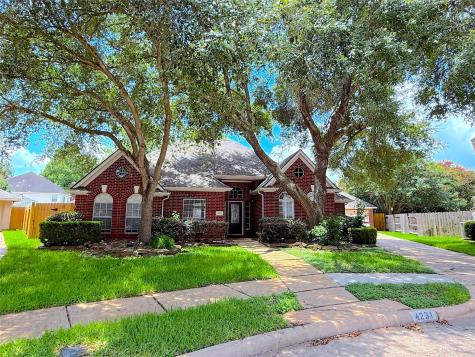 4231 Lake Terrace Court Missouri City TX 77459