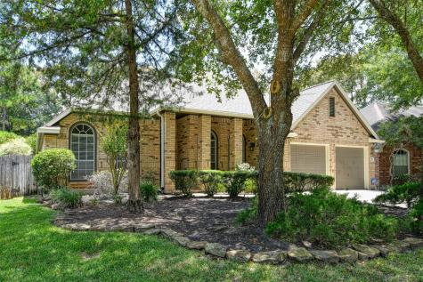 10 Snow Woods Court Conroe TX 77385