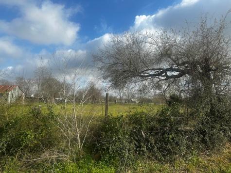 27722 Betka Hockley TX 77447