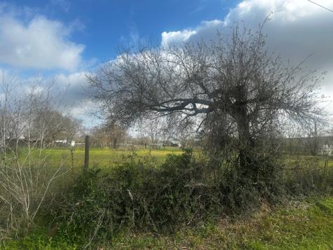 27722 Betka Hockley TX 77447