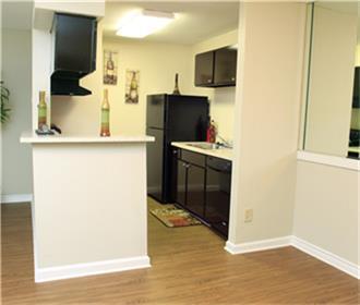 519 N Main Street Donna TX 78537