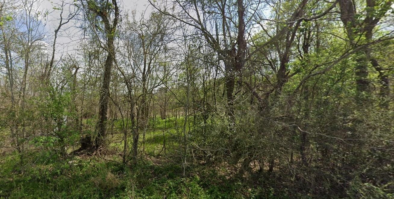 831 Drews Landing Road Goodrich TX 77335
