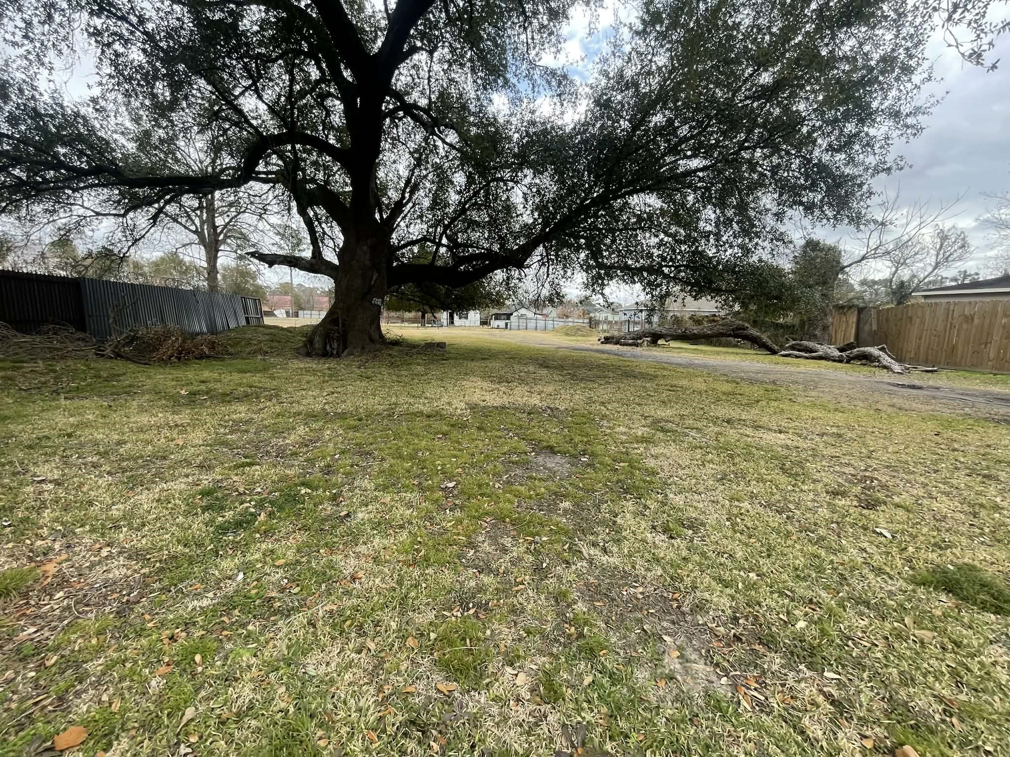 0 Knox Street Houston TX 77091