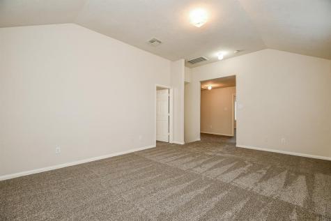 11718 Dandy Park Court Houston TX 77047