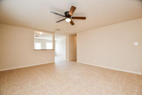 11718 Dandy Park Court Houston TX 77047