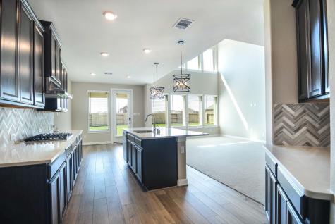2246 Camden Arbor Trail Houston TX 77089