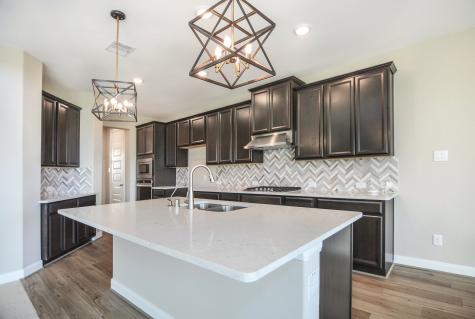 2246 Camden Arbor Trail Houston TX 77089