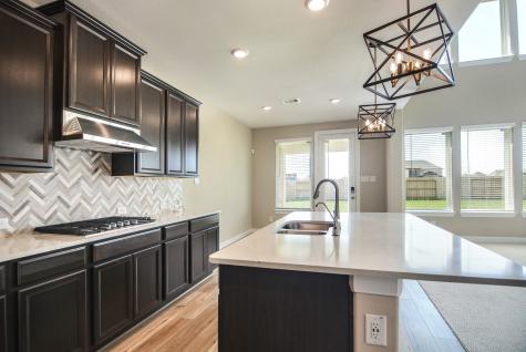 2246 Camden Arbor Trail Houston TX 77089