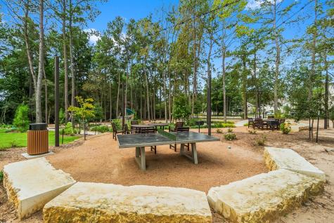 435 Auburn Pines Drive Montgomery TX 77316