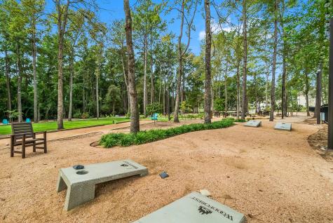 435 Auburn Pines Drive Montgomery TX 77316