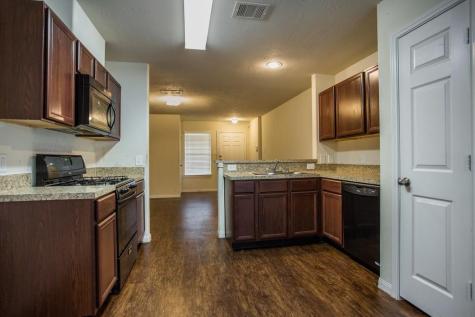 21427 Palma Grove Way Houston TX 77073