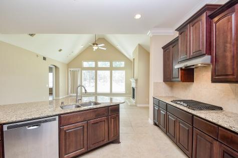 4603 Bellwood Springs Lane Sugar Land TX 77479