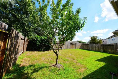 25926 Orchard Knoll Lane Katy TX 77494