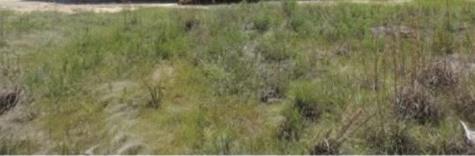 1540 Road 5860 Dayton TX 77535