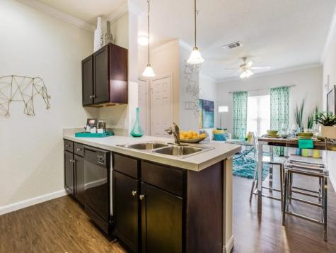 14722 Nacogdoches Road 2201 San Antonio TX 78247