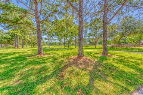 8435 E Copper Lakes Drive Houston TX 77095