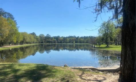 96 Madrone Terrace Place Tomball TX 77375