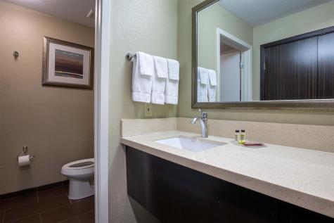 18828 State Highway 249 219 Houston TX 77070