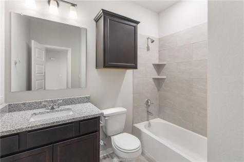 15195 Still Water Meadow Loop College Station TX 77845