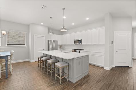 19727 Lake Theo Court Cypress TX 77433