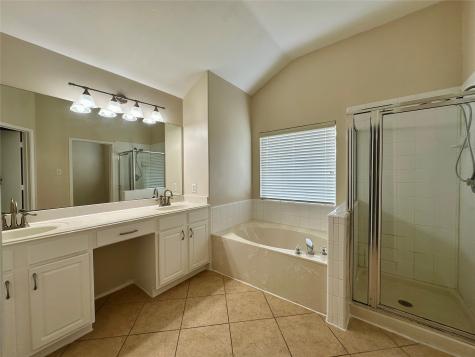 12627 Mesquite Hollow Lane Sugar Land TX 77478
