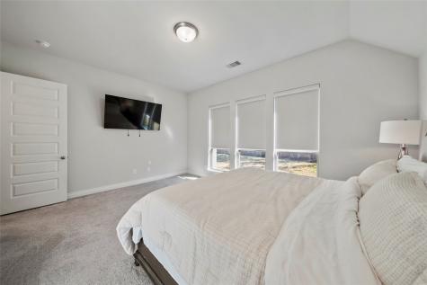 100 Wake Valley Court Conroe TX 77304