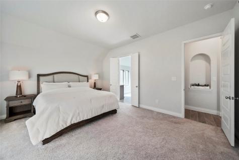 100 Wake Valley Court Conroe TX 77304