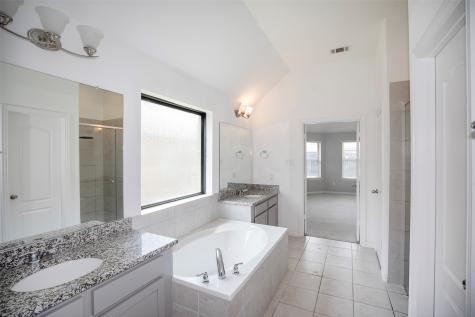 1608 Palo Duro Canyon Drive League City TX 77573