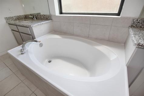 1608 Palo Duro Canyon Drive League City TX 77573