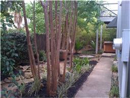 5216 Blossom Street Houston TX 77007