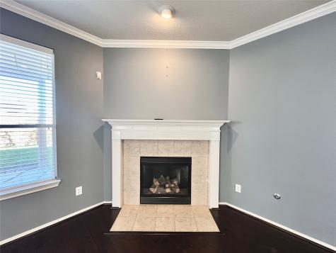 1946 Hawthorne Brook Fresno TX 77545
