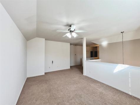 1946 Hawthorne Brook Fresno TX 77545