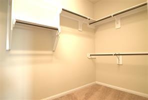 29611 Yaupon Shore Drive Spring TX 77386