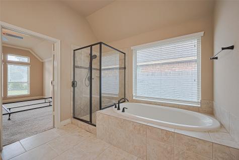 19 Bear Grove Drive Missouri City TX 77459