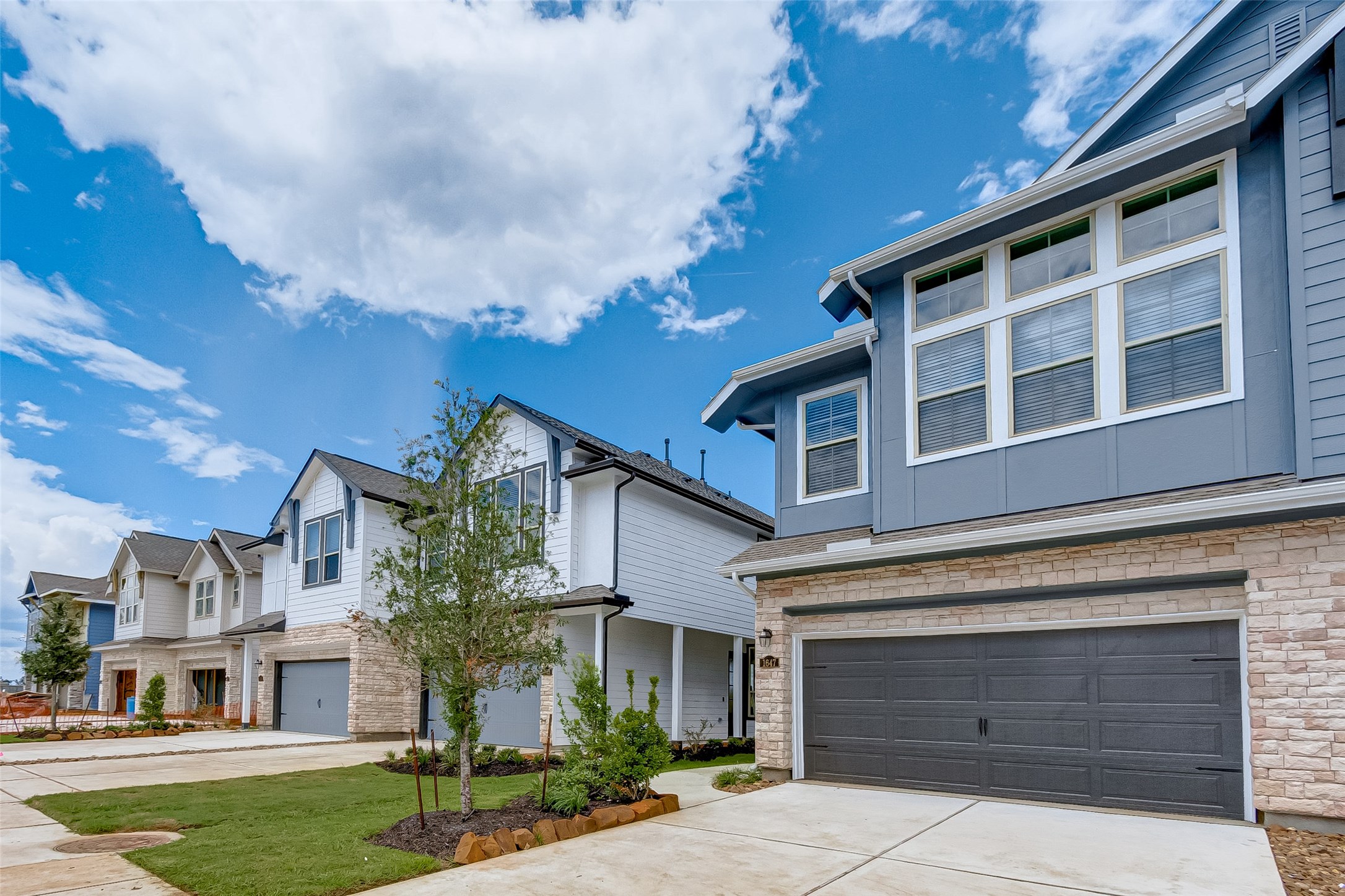 1647 Ryon Falls Drive Richmond TX 77469