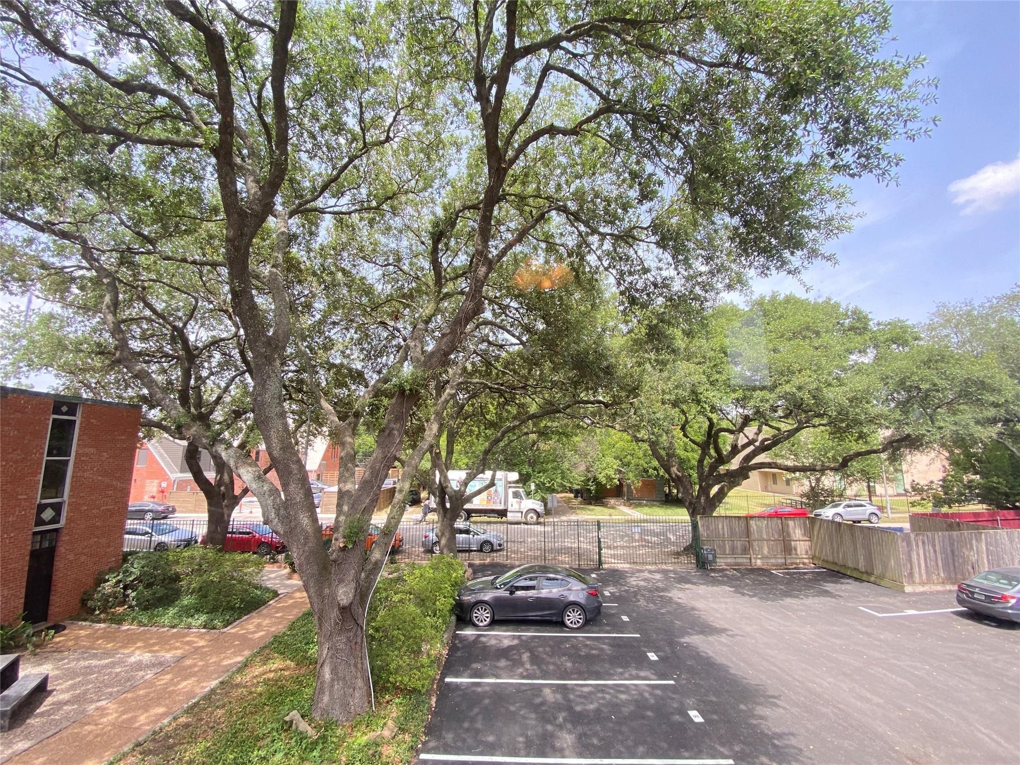 1112 Lawrence Street 13 Houston TX 77008
