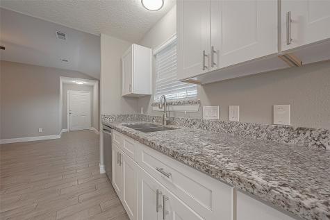 21911 Siberian Elm Lane Houston TX 77073