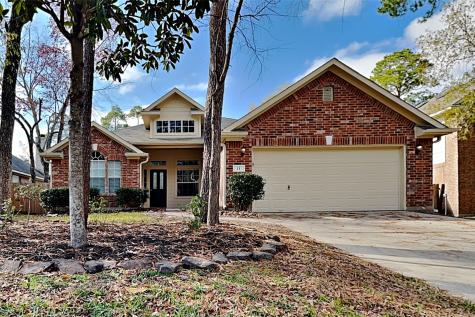11 Nila Grove Court Conroe TX 77385