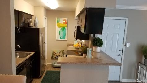 10250 Lands End Drive 224 Houston TX 77099
