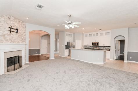 7223 Sheffield Falls Court Houston TX 77095
