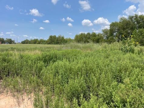 22831 Beckendorff Road Road Katy TX 77449