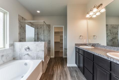 3851 Briar Water Court Katy TX 77449
