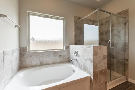 3851 Briar Water Court Katy TX 77449
