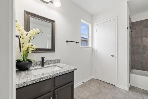 2943 Valiant Scene Court Houston TX 77038
