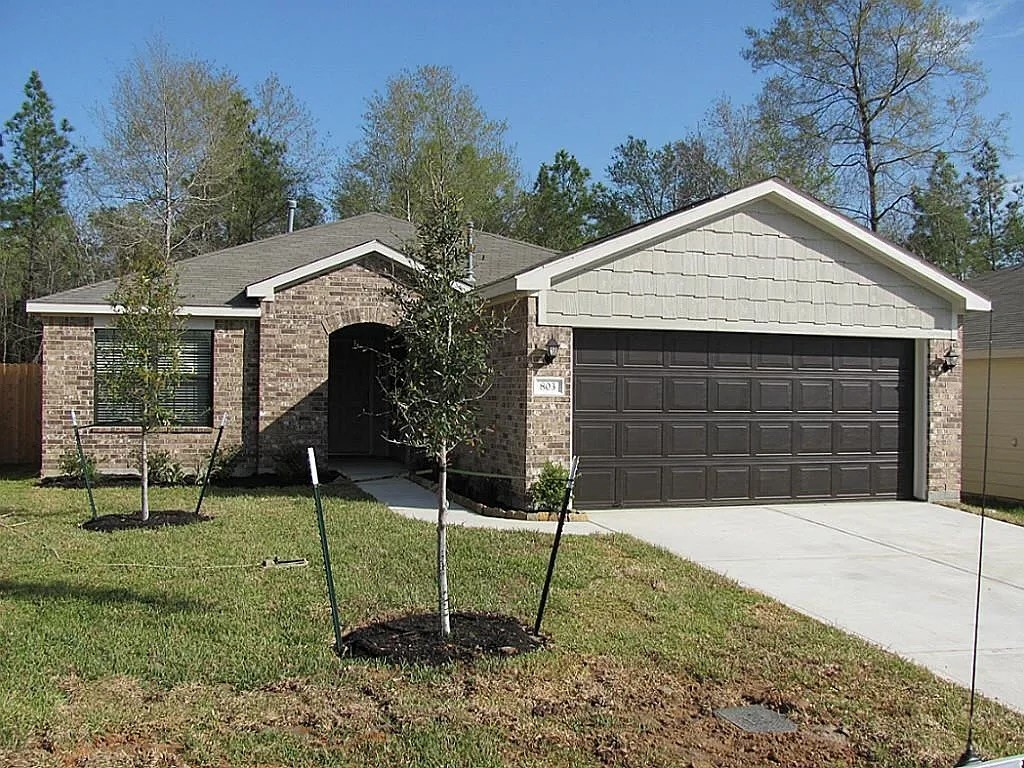 803 Lovebug Lane Conroe TX 77301
